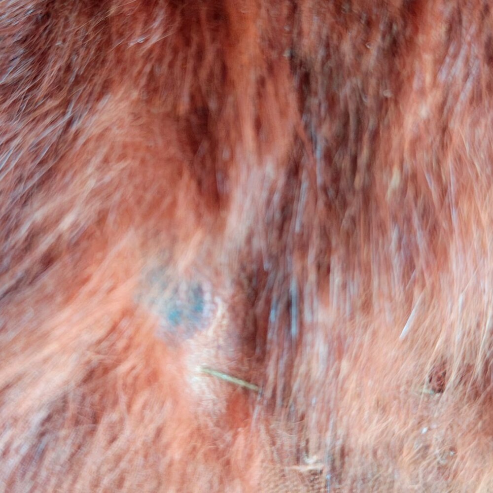 Vintage Mink Fur Cape - Picture 5 of 15